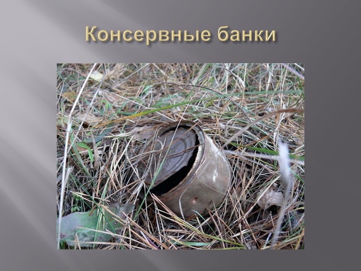 Презентация на тему "Деревья Воронежского края".