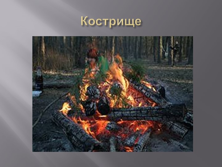 Презентация на тему "Деревья Воронежского края".