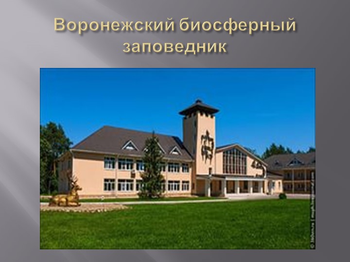 Презентация на тему "Деревья Воронежского края".