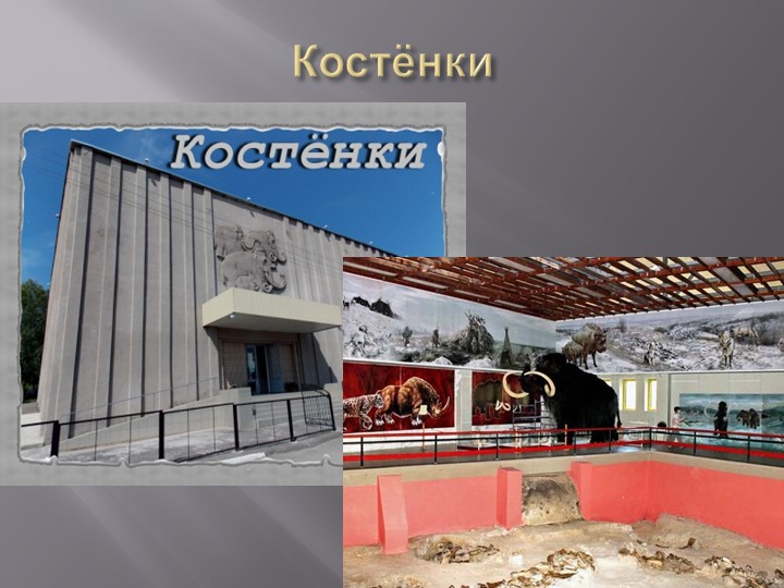 Презентация на тему "Деревья Воронежского края".