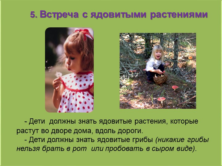 Презентация на тему "Использование информационно-коммуникативных технологий в педагогическом процессе ДОУ"..