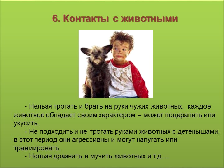 Презентация на тему "Использование информационно-коммуникативных технологий в педагогическом процессе ДОУ"..