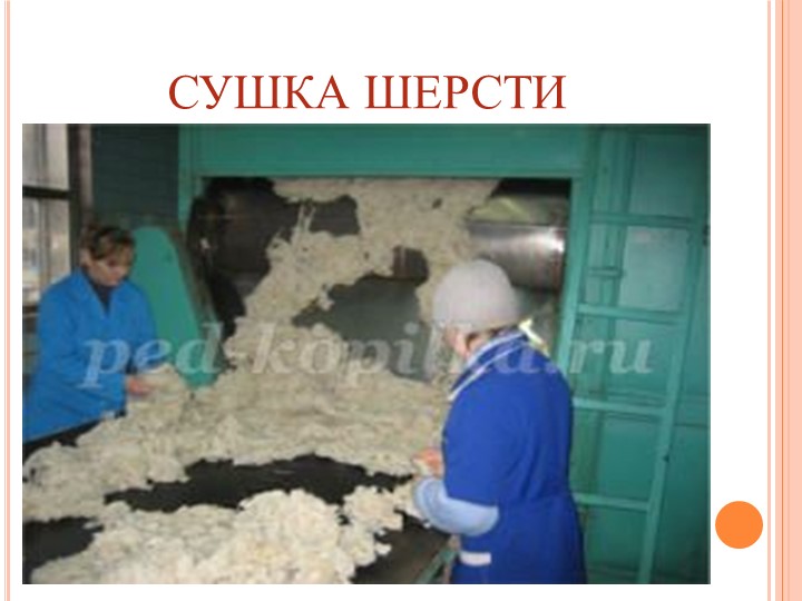 Презентация на тему "Волшебные картины".