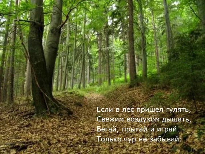Экологическая викторина "Берегите нашу планету"