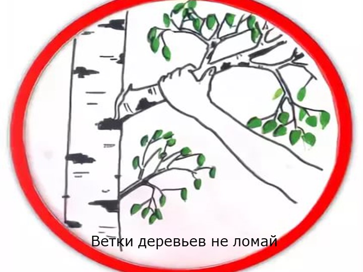 Экологическая викторина "Берегите нашу планету"