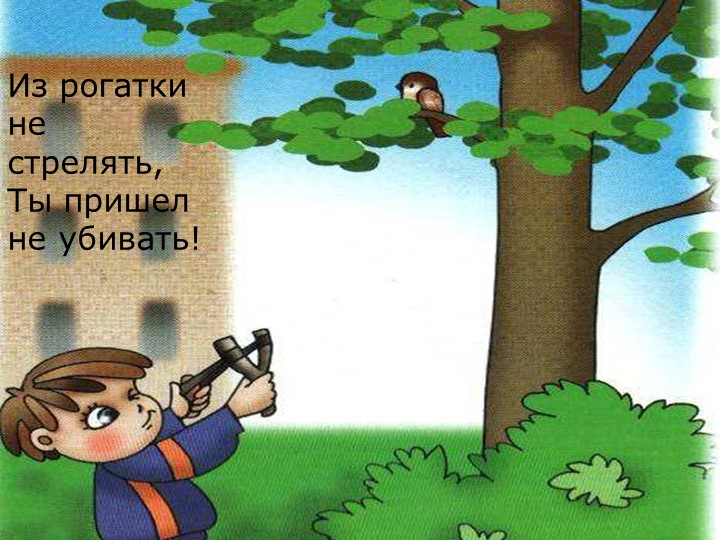 Экологическая викторина "Берегите нашу планету"