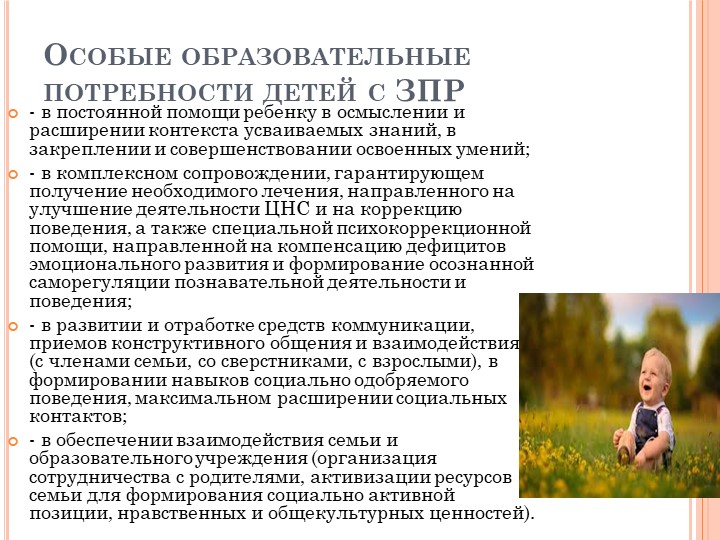 Клинико-психолого-педагогическая характеристика обучающихся с задержкой психического развития
