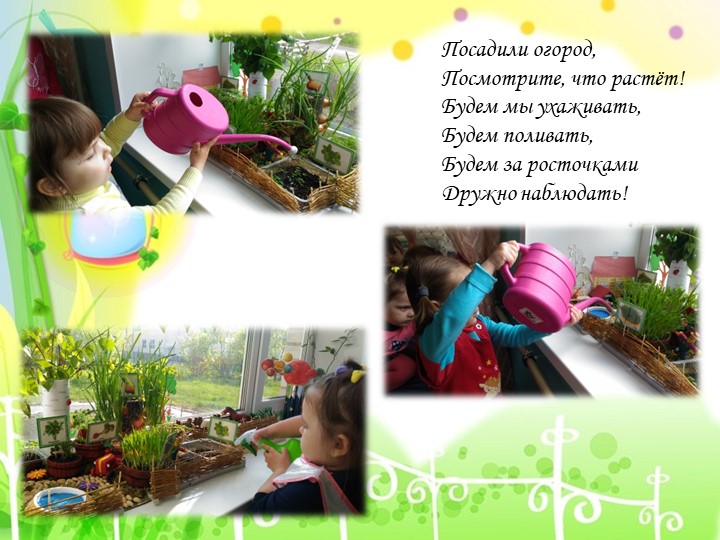 Презентация проекта "Огород на окне"