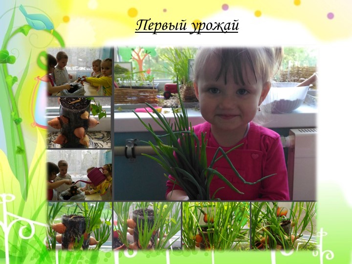 Презентация проекта "Огород на окне"
