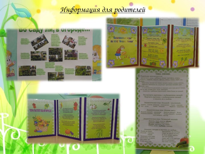 Презентация проекта "Огород на окне"