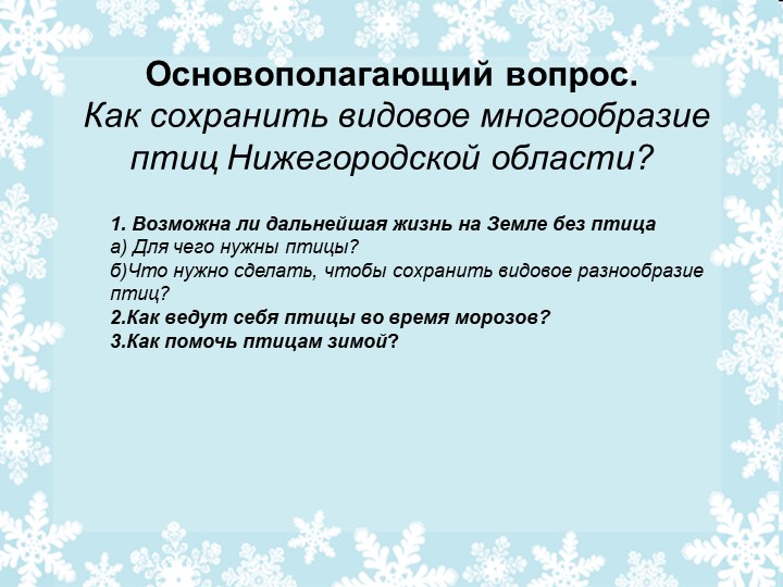 Презентация .Проект на тему :"Птицы зимой"