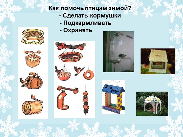 Презентация .Проект на тему :"Птицы зимой"