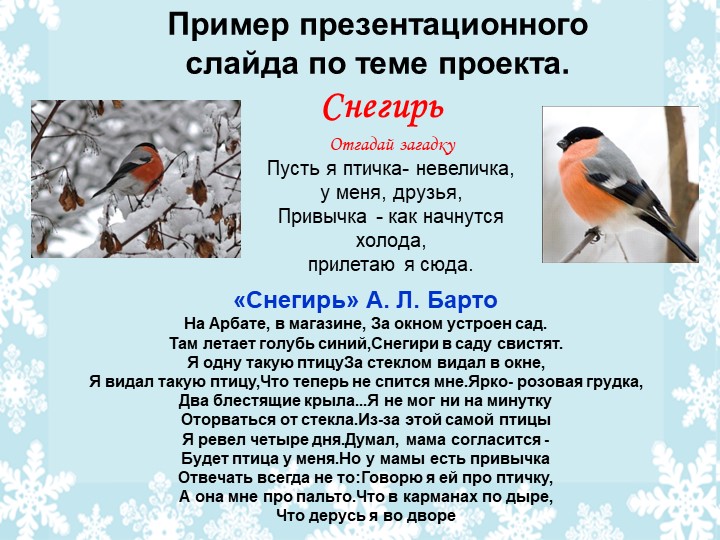 Презентация .Проект на тему :"Птицы зимой"