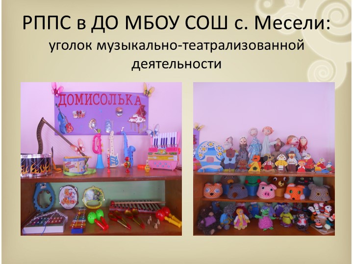 Организация развивающей предметно-пространственной среды дошкольников в соответствии с требованиями ФГОС ДО