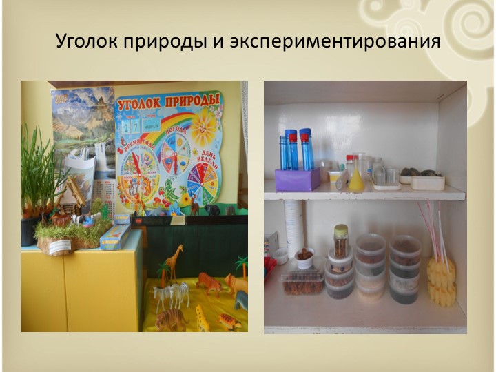 Организация развивающей предметно-пространственной среды дошкольников в соответствии с требованиями ФГОС ДО