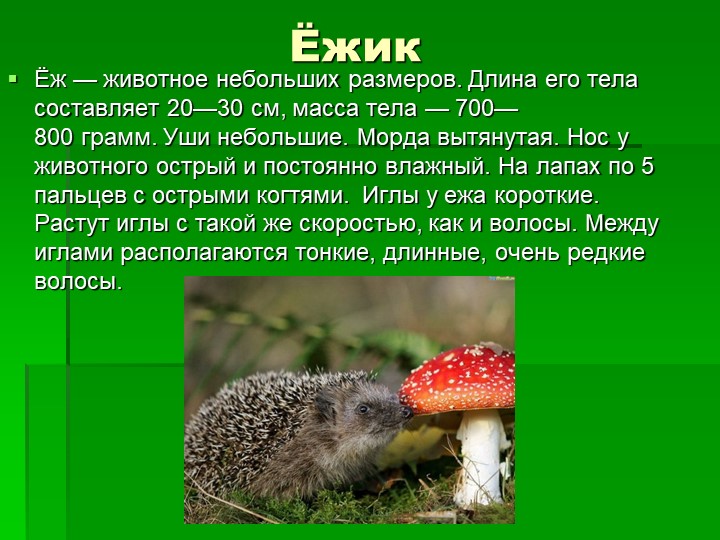 Презентация ознакомление детей дошкольного возраста с природой на тему "Животные леса"