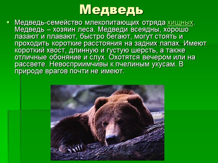 Презентация ознакомление детей дошкольного возраста с природой на тему "Животные леса"