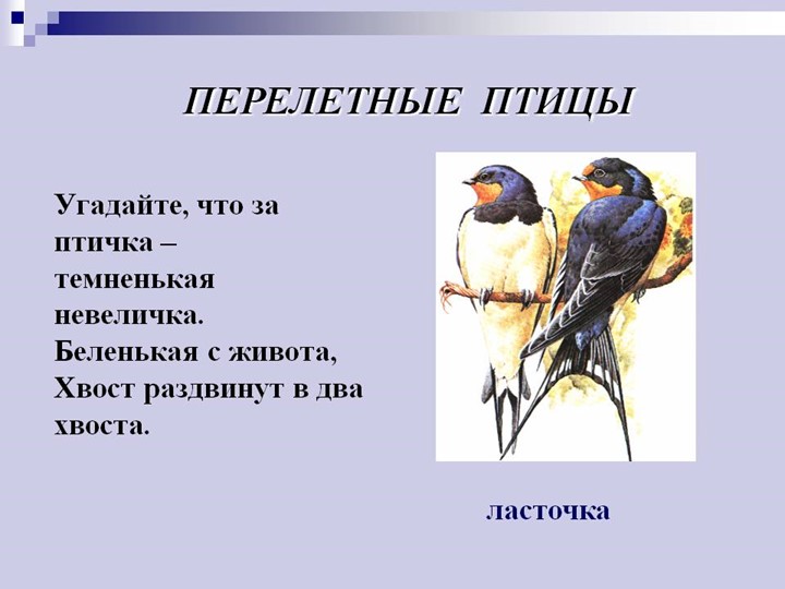 Презентация по познавательному развитию.Тема: "Перелетные птицы"(старшая группа)