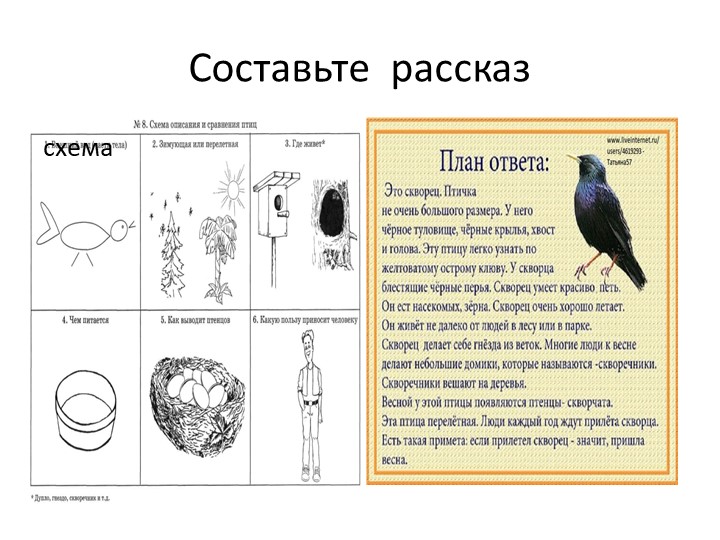 Презентация по познавательному развитию.Тема: "Перелетные птицы"(старшая группа)