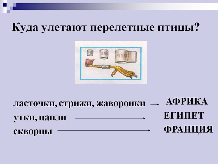 Презентация по познавательному развитию.Тема: "Перелетные птицы"(старшая группа)