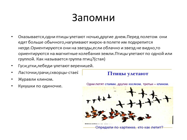 Презентация по познавательному развитию.Тема: "Перелетные птицы"(старшая группа)