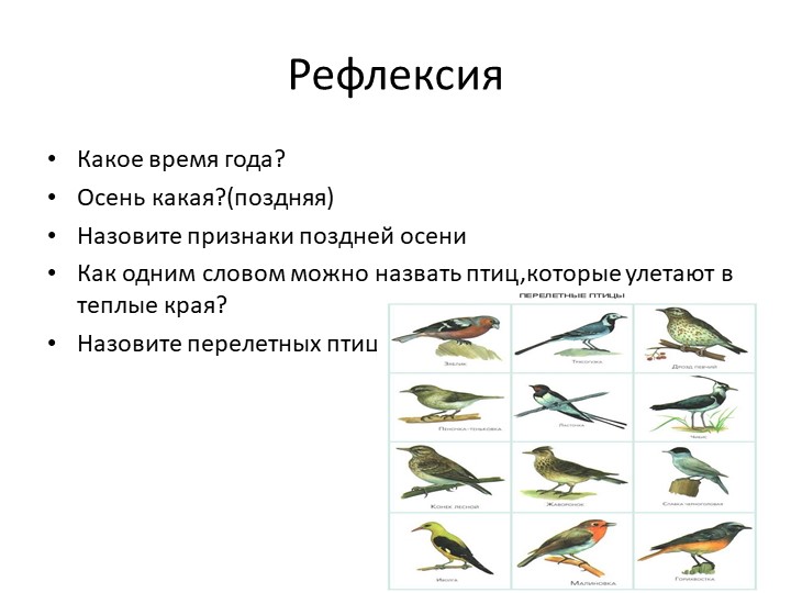Презентация по познавательному развитию.Тема: "Перелетные птицы"(старшая группа)