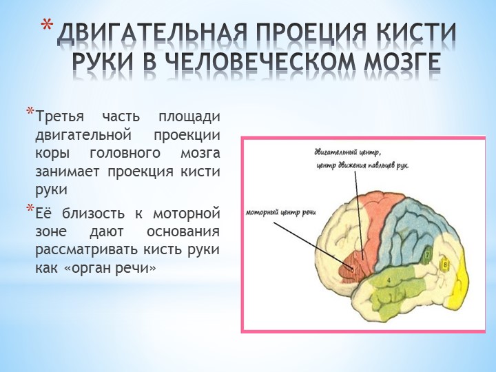 Презентация "Мир на кончиках пальцев"