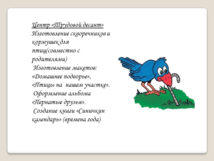 Презентация " Из жизни пернатых