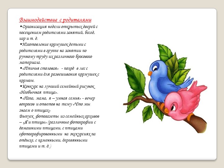 Презентация " Из жизни пернатых