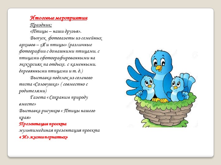 Презентация " Из жизни пернатых