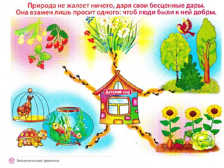 Презентация по экологии на тему "Экология для малышей"