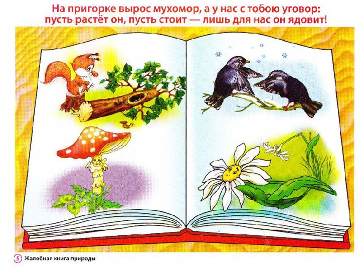 Презентация по экологии на тему "Экология для малышей"