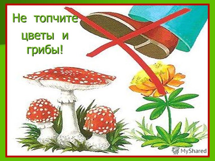 Презентация по экологии на тему "Экология для малышей"