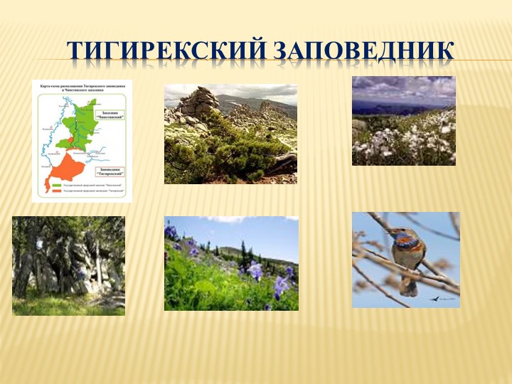 "Наш любимый Алтайский край!" (презентация)