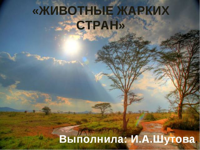 Животные жарких стран. Презентация для детей