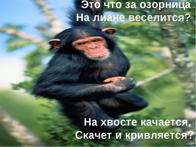 Животные жарких стран. Презентация для детей