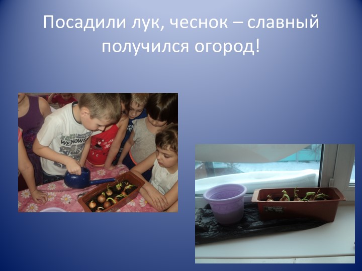 Презентация по ЗОЖ на тему "биффи в гости к нам пришла"