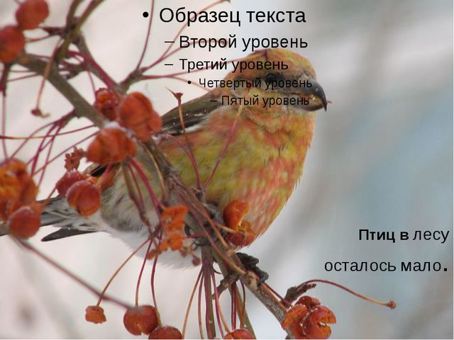 Презентация для детей на тему: Зима