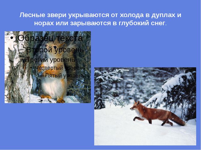 Презентация для детей на тему: Зима