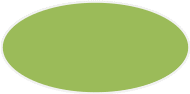 Shape4