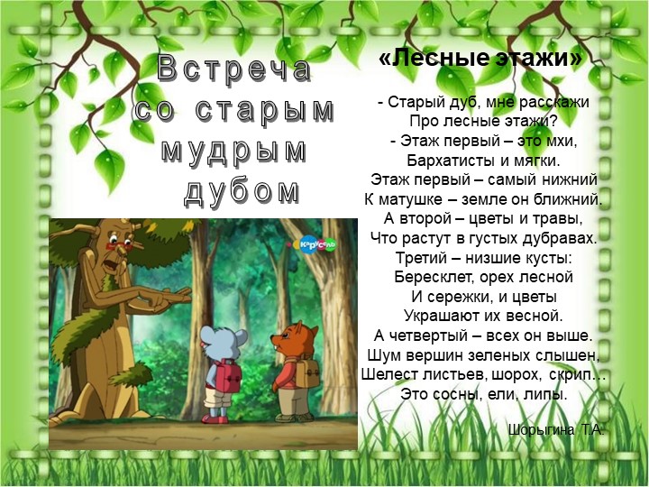 Презентация по познавательному экологическому развитию на тему "Кустарники"