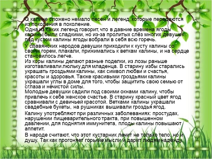 Презентация по познавательному экологическому развитию на тему "Кустарники"