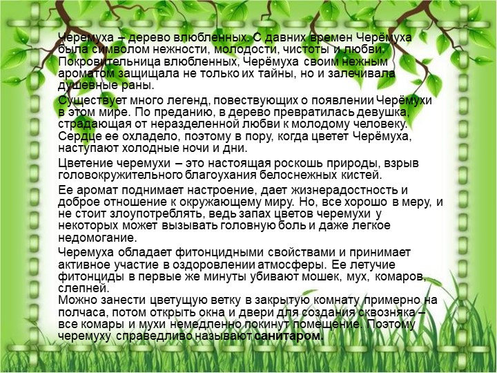 Презентация по познавательному экологическому развитию на тему "Кустарники"