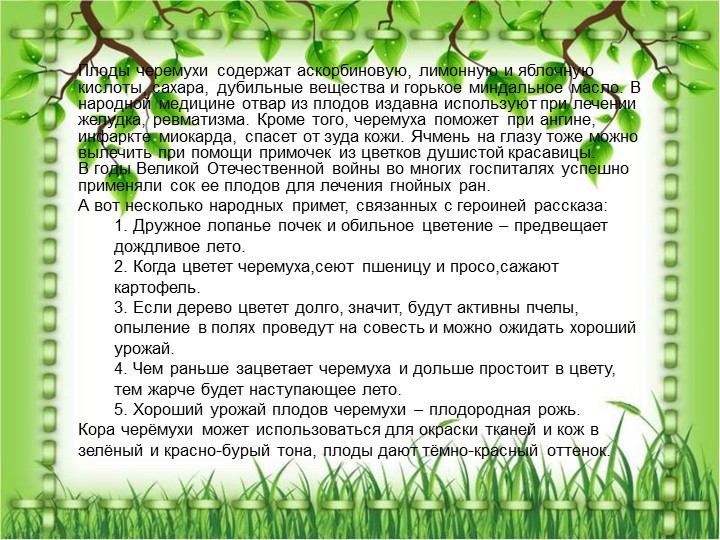 Презентация по познавательному экологическому развитию на тему "Кустарники"