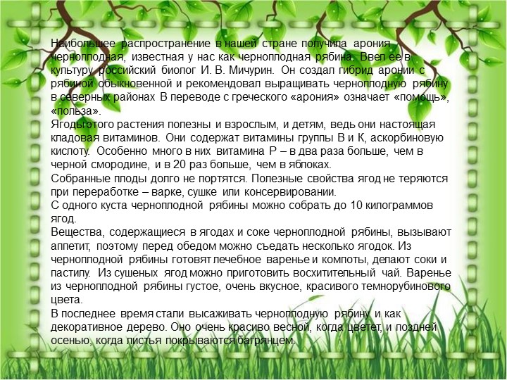 Презентация по познавательному экологическому развитию на тему "Кустарники"