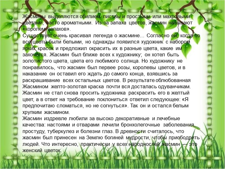 Презентация по познавательному экологическому развитию на тему "Кустарники"