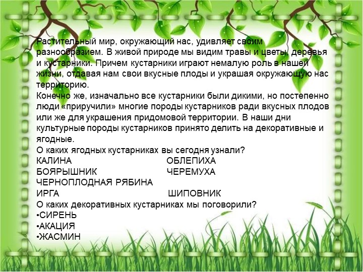 Презентация по познавательному экологическому развитию на тему "Кустарники"