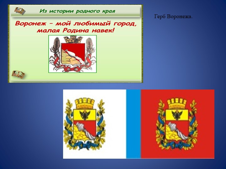 Презентация для средней группы "Мой любимый Воронеж."