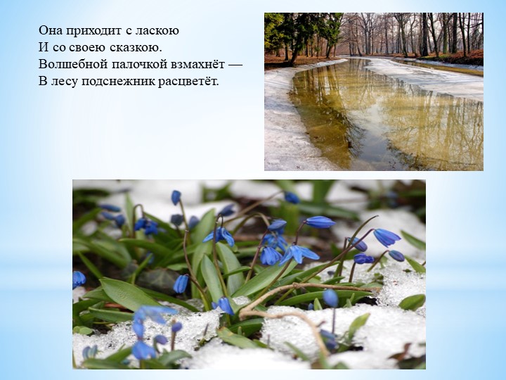 Презентация для средней группы "Времена года"