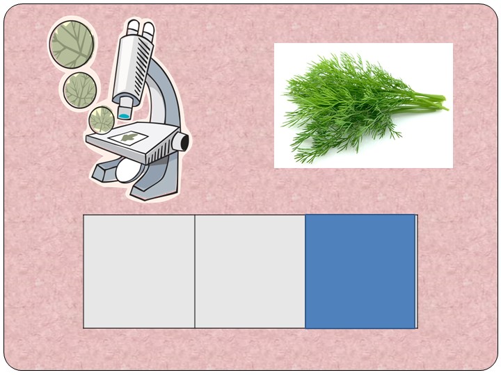 Презентация НОД по звуковой культуре речи